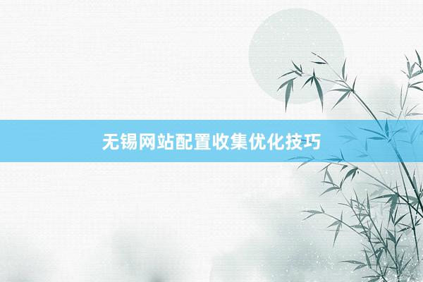 无锡网站配置收集优化技巧
